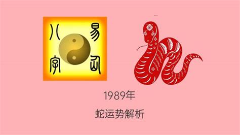 1989年出生属什么|1989年属蛇是什么命，89年出生五行属什么